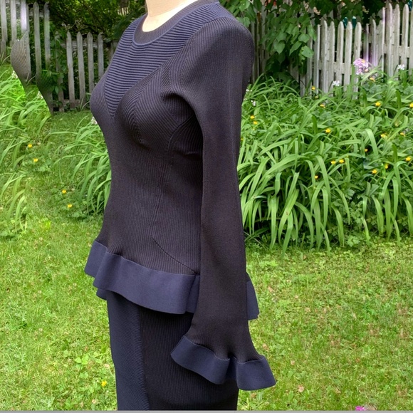 💗 HOST PICK 💗   NWT Herve Leger Paris Pencil Skirt & Peplum Top - Picture 4 of 16